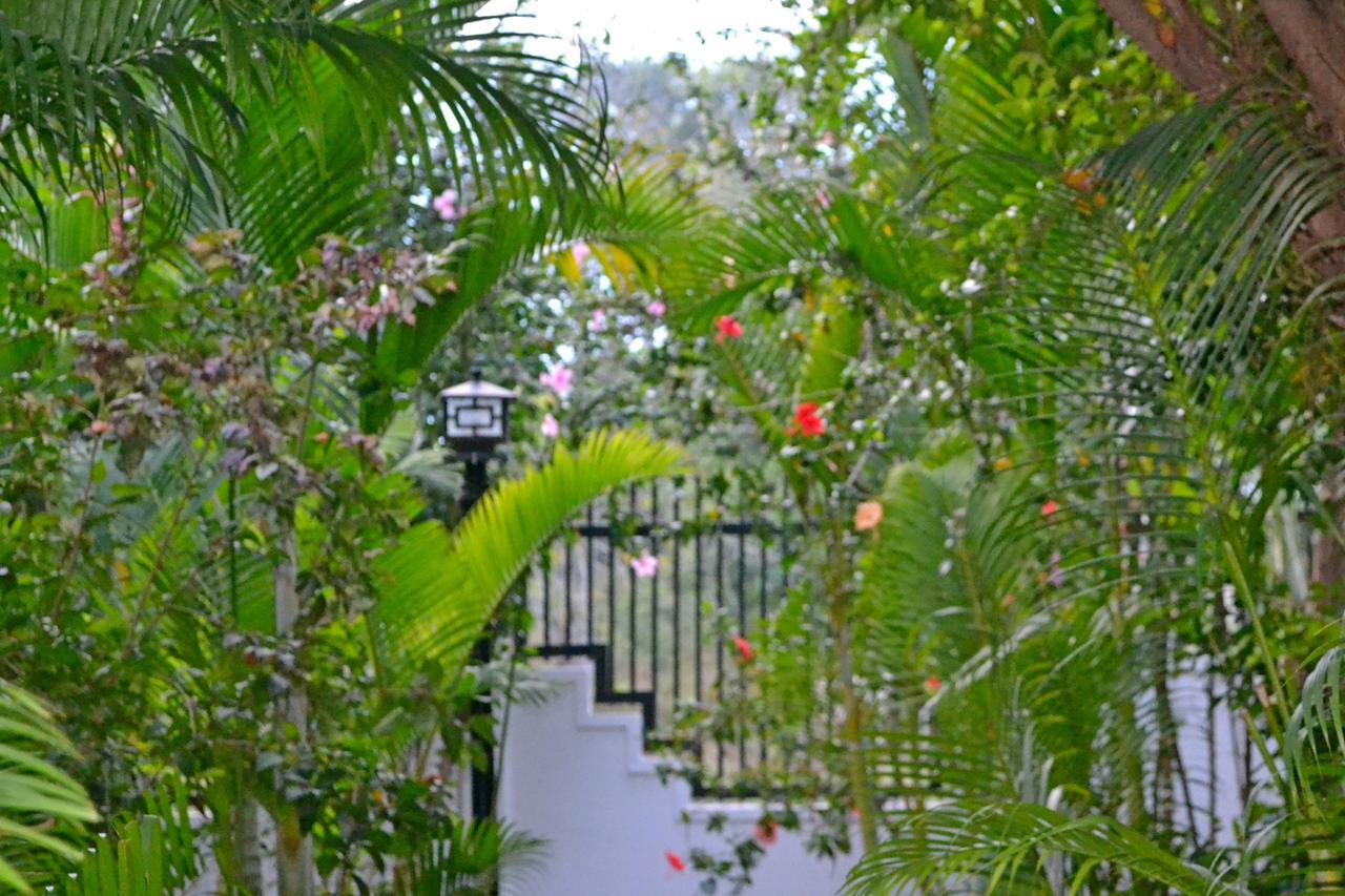 Nature Boutique Residence Siem Reap Eksteriør bilde